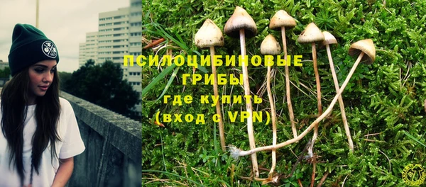 крисы Вязники