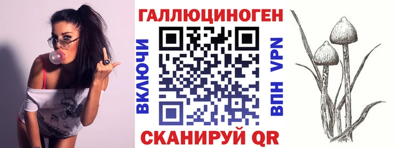 Галлюциногенные грибы MAGIC MUSHROOMS  дарнет шоп  Инза 